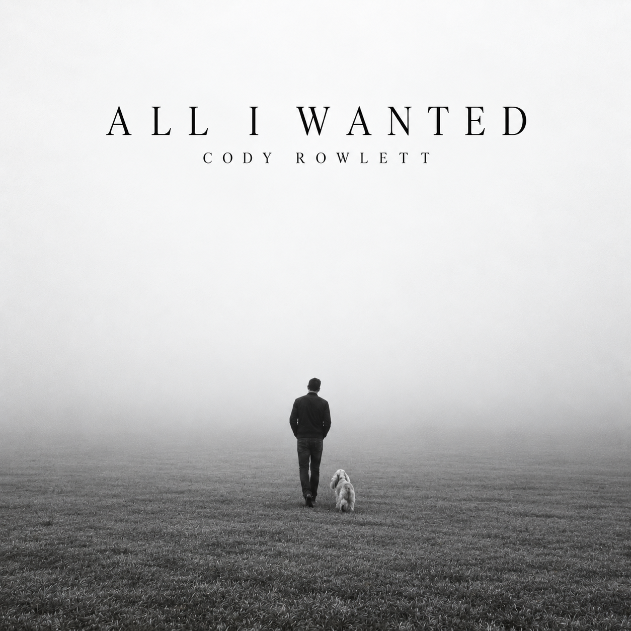 All I Wanted